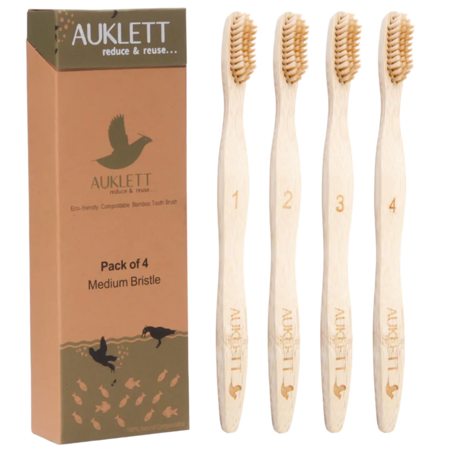 Pack of four Auklett bamboo toothbrushes with Auklett packaging on a white background